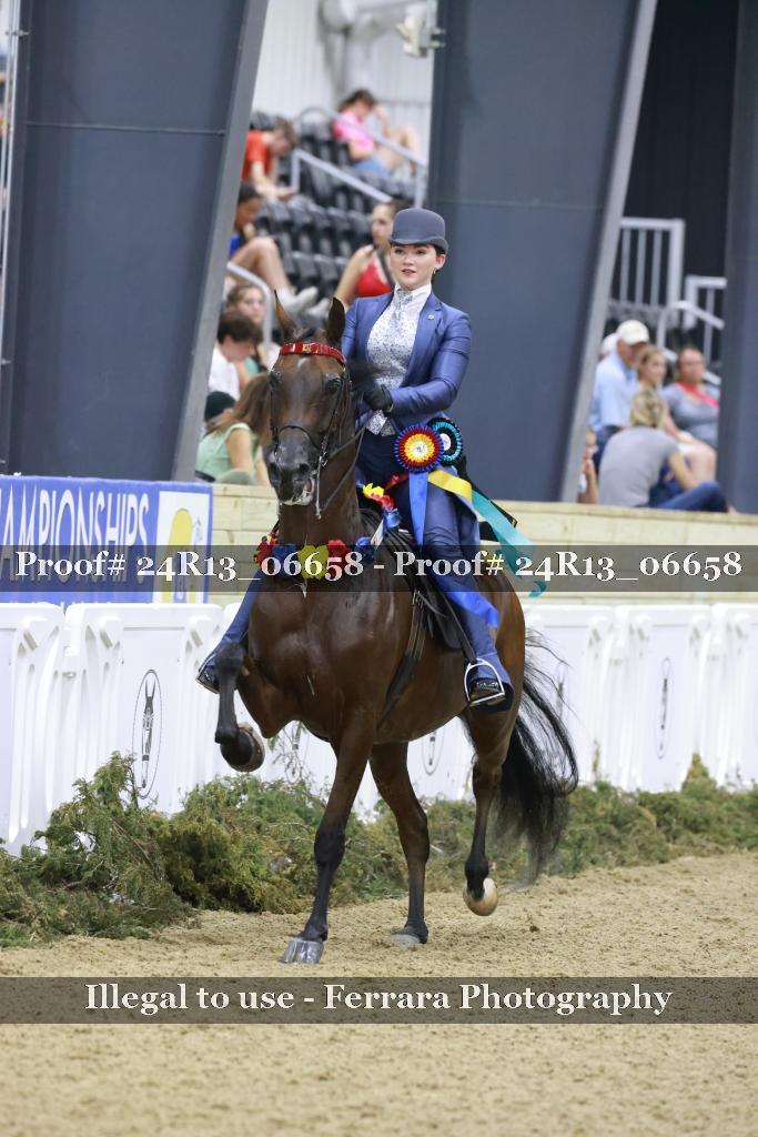 Proof 24R13_06658