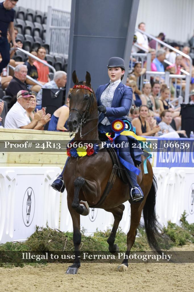 Proof 24R13_06659