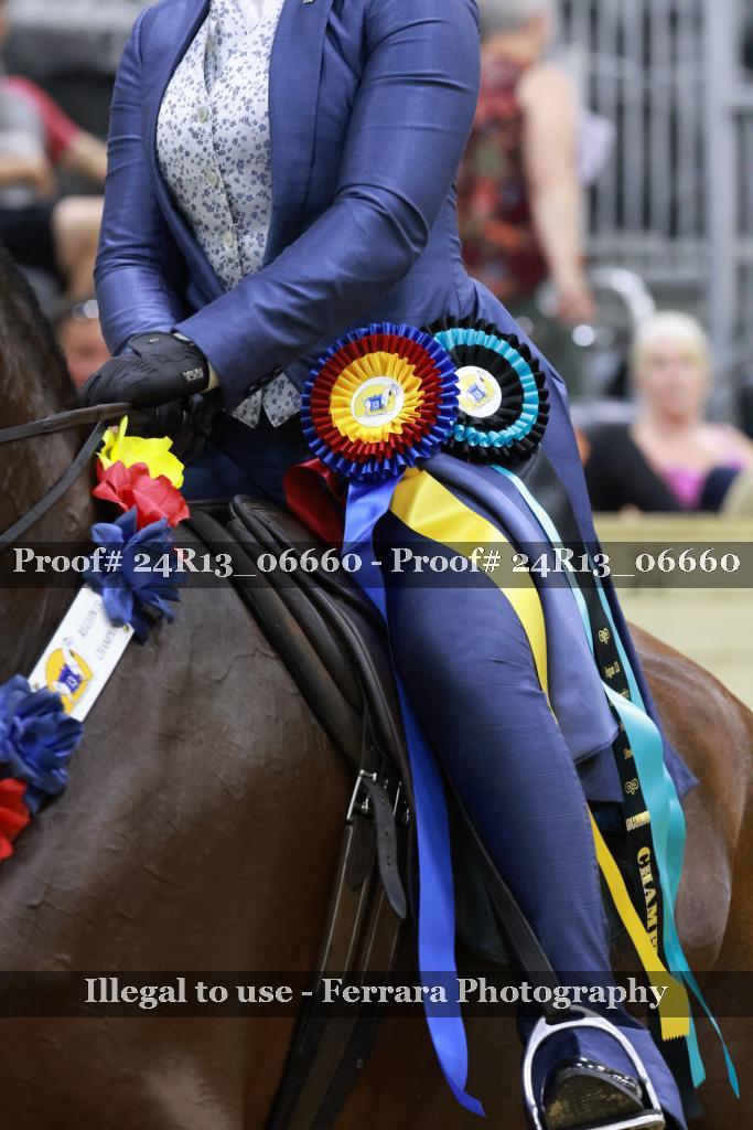 Proof 24R13_06660