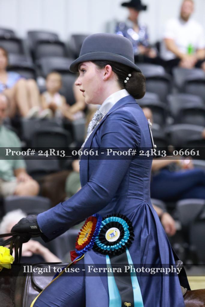 Proof 24R13_06661