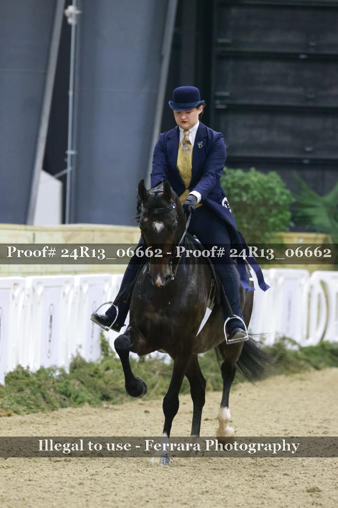 Proof 24R13_06662