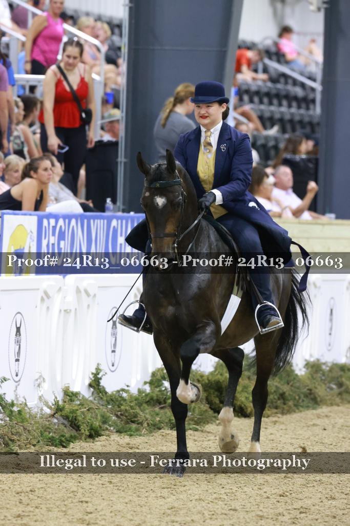 Proof 24R13_06663