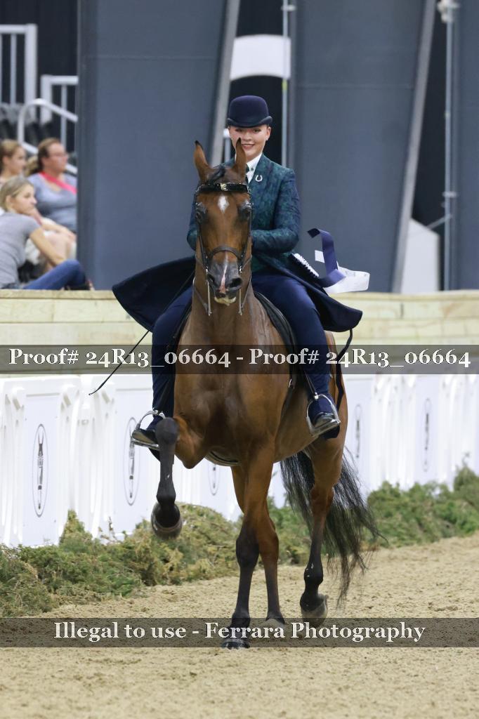 Proof 24R13_06664