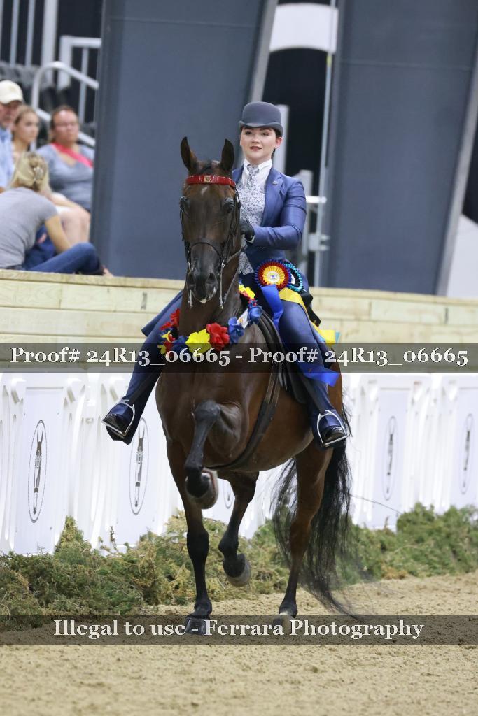 Proof 24R13_06665