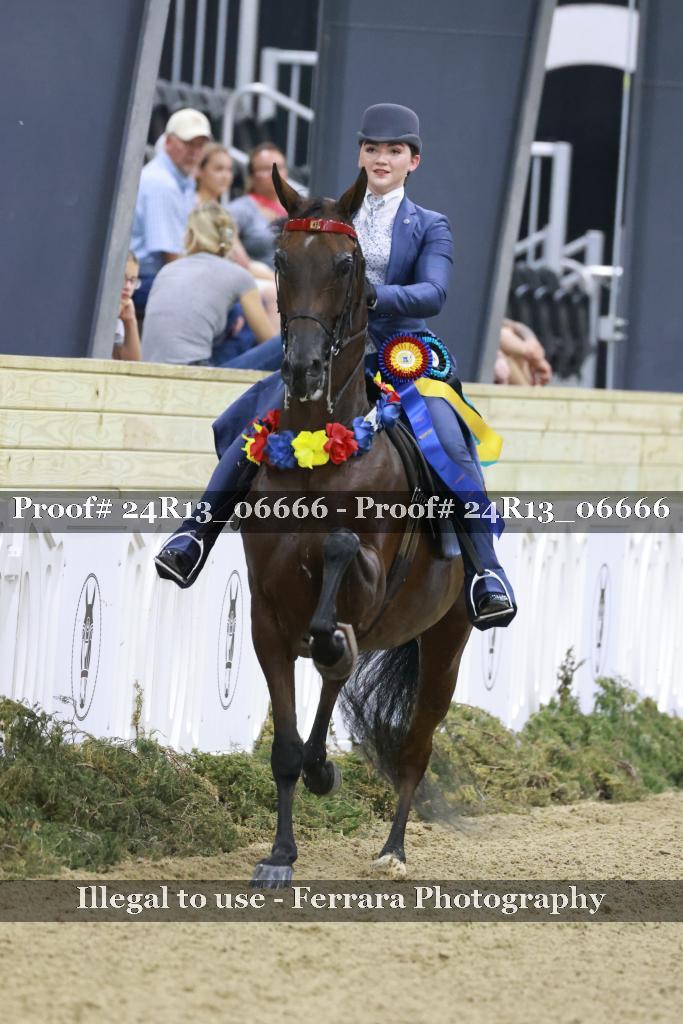 Proof 24R13_06666