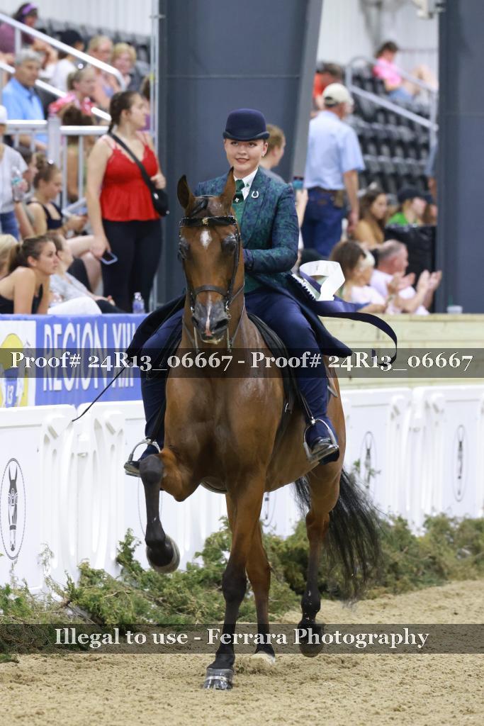 Proof 24R13_06667