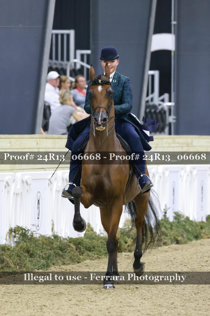 Proof 24R13_06668