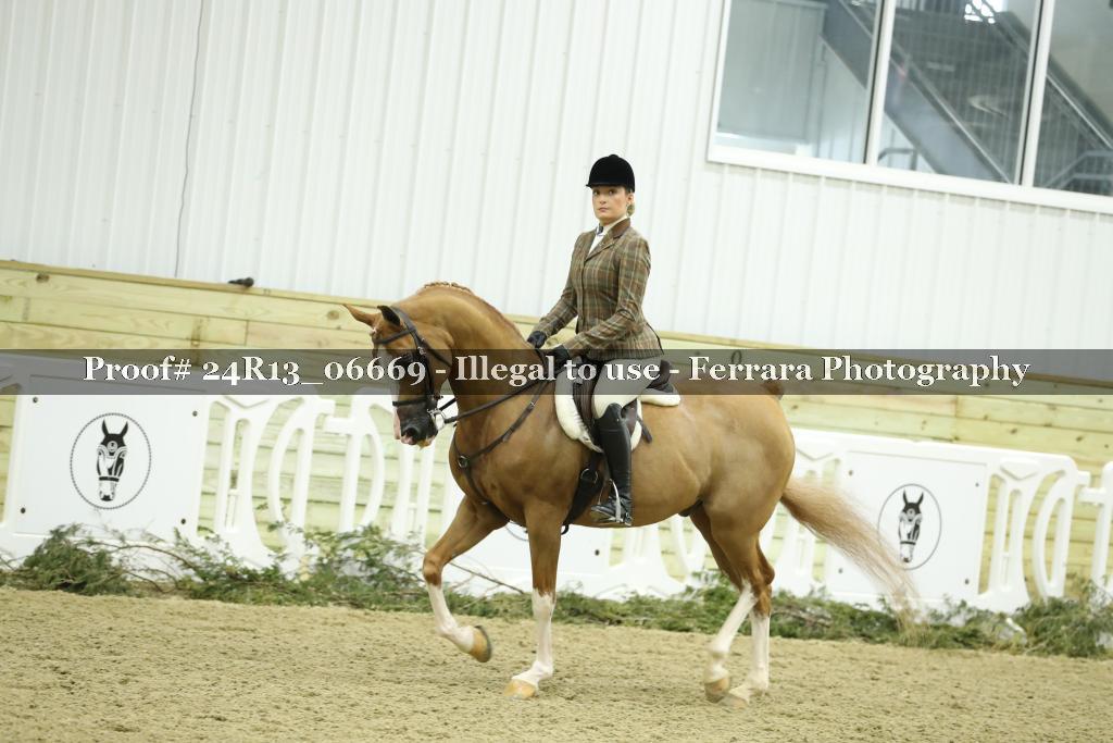 Proof 24R13_06669