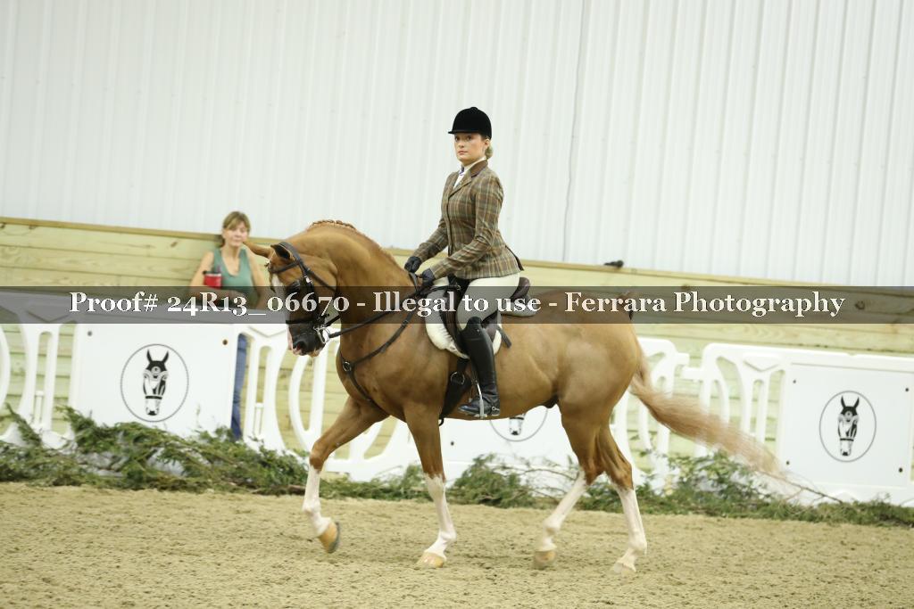 Proof 24R13_06670