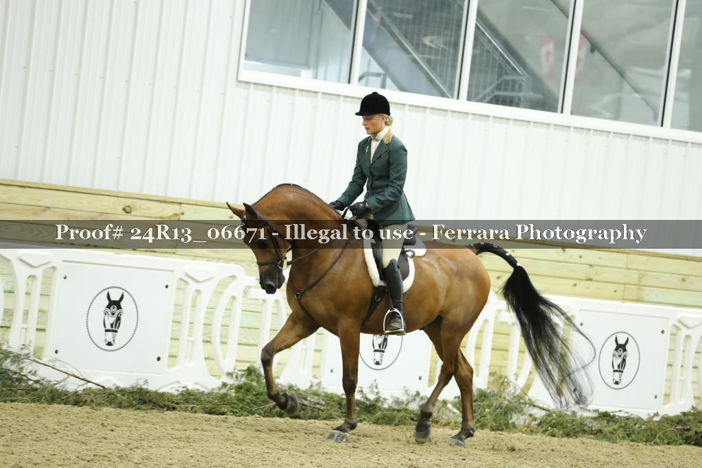 Proof 24R13_06671