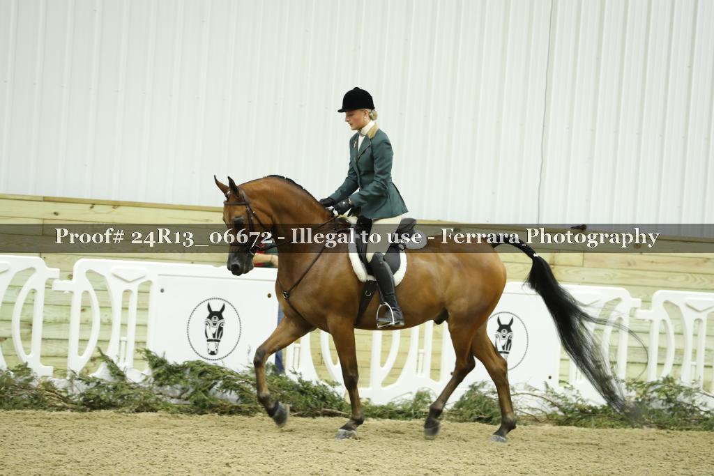Proof 24R13_06672