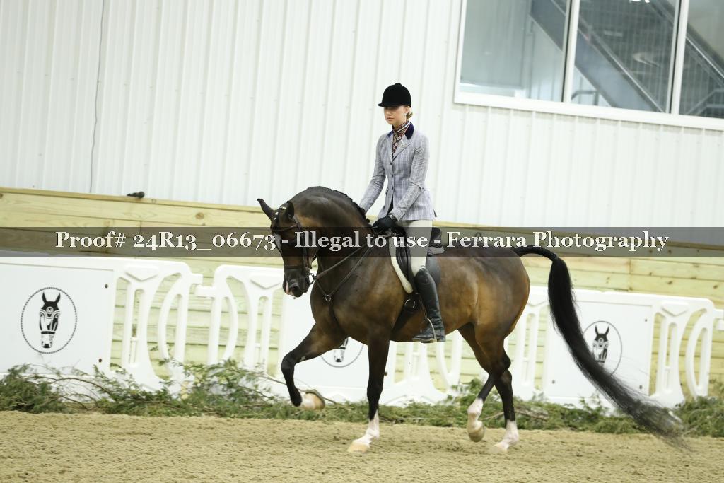 Proof 24R13_06673