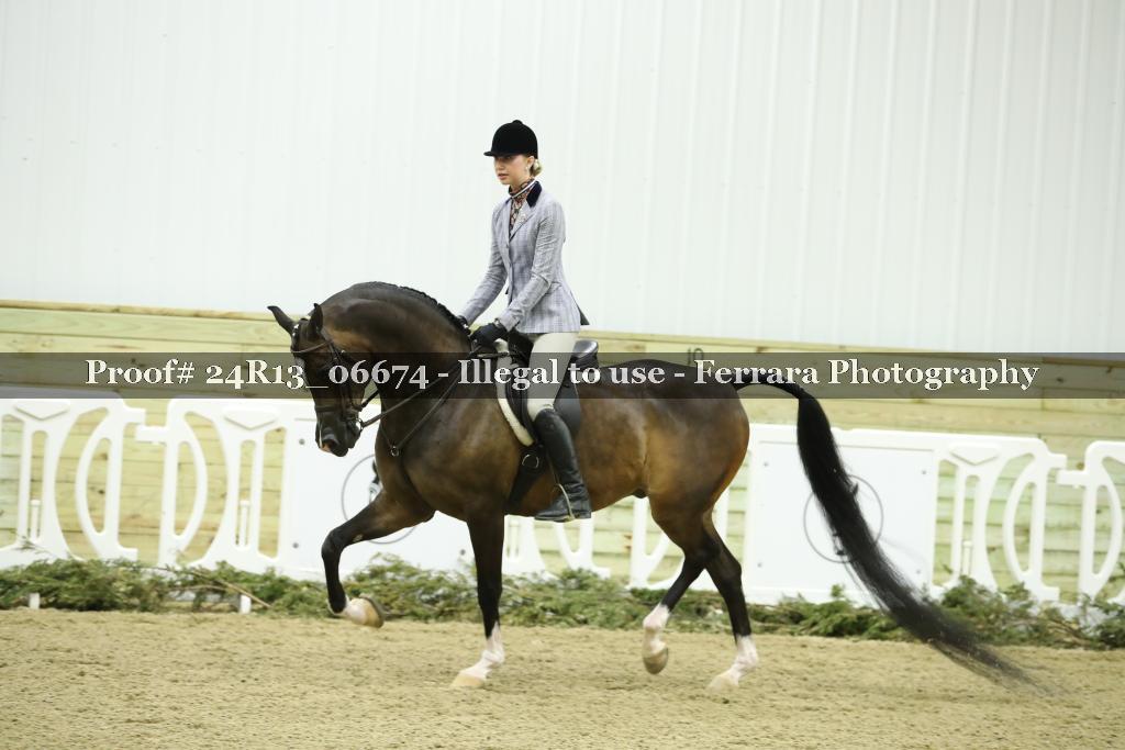 Proof 24R13_06674
