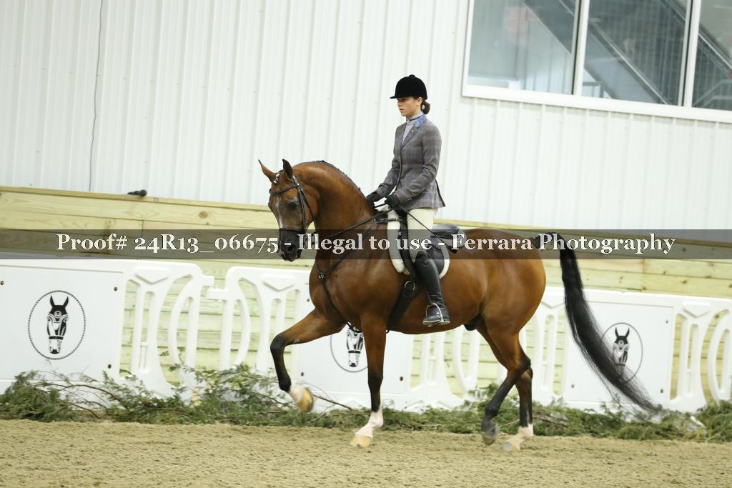Proof 24R13_06675
