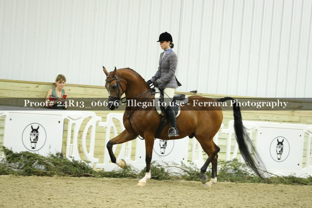 Proof 24R13_06676
