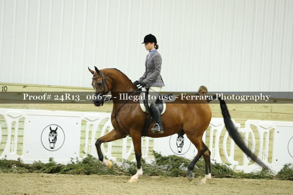 Proof 24R13_06677