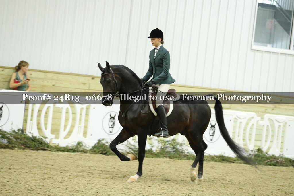 Proof 24R13_06678