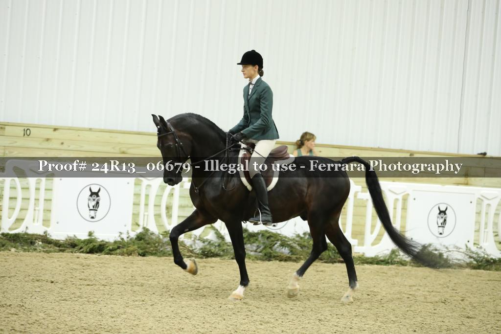 Proof 24R13_06679