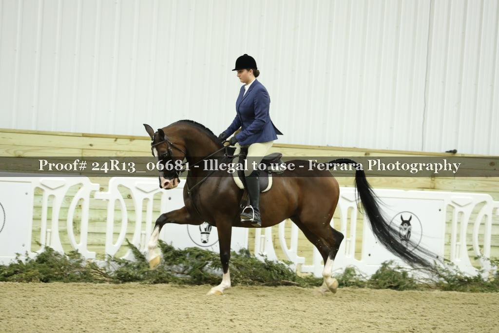 Proof 24R13_06681