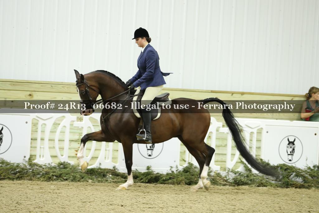 Proof 24R13_06682