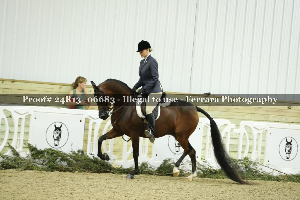 Proof 24R13_06683