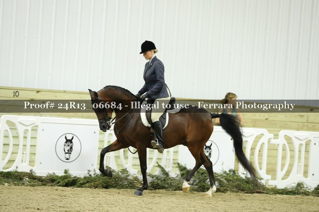 Proof 24R13_06684