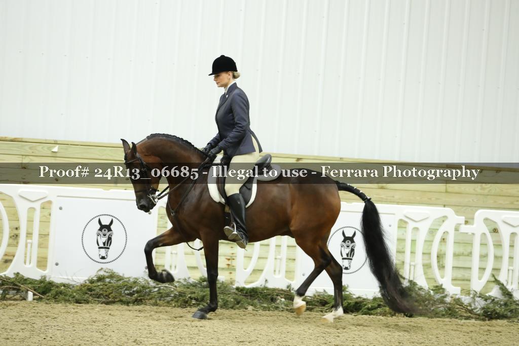 Proof 24R13_06685