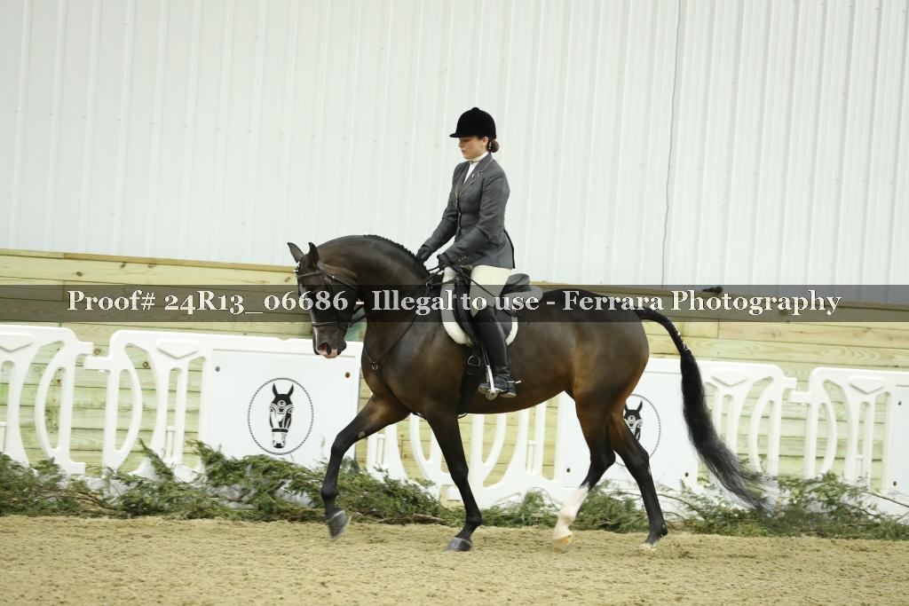 Proof 24R13_06686