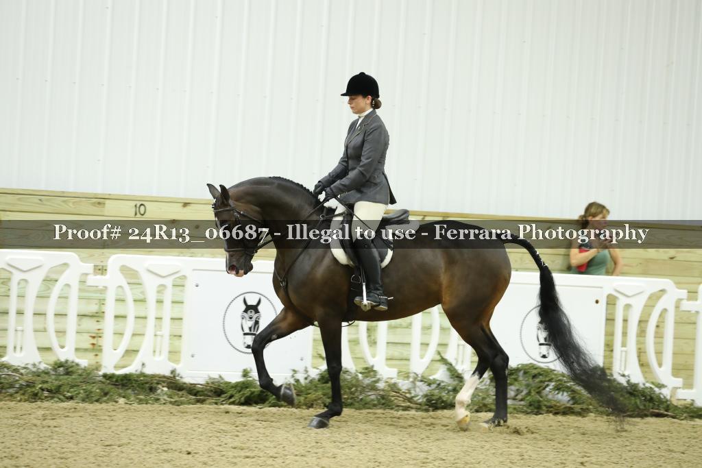 Proof 24R13_06687
