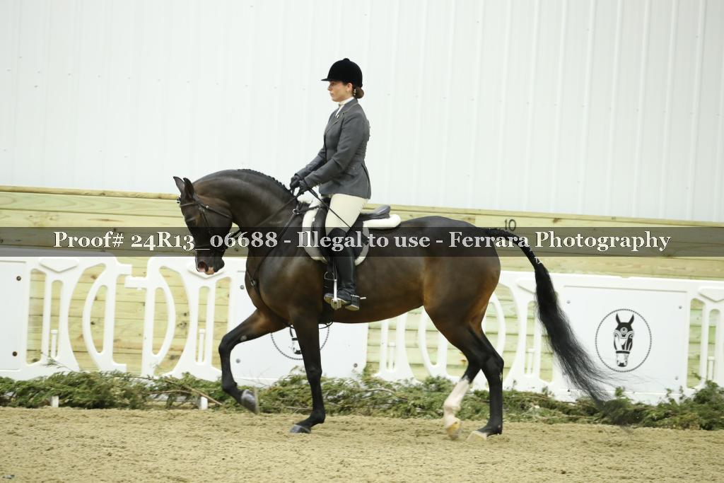 Proof 24R13_06688