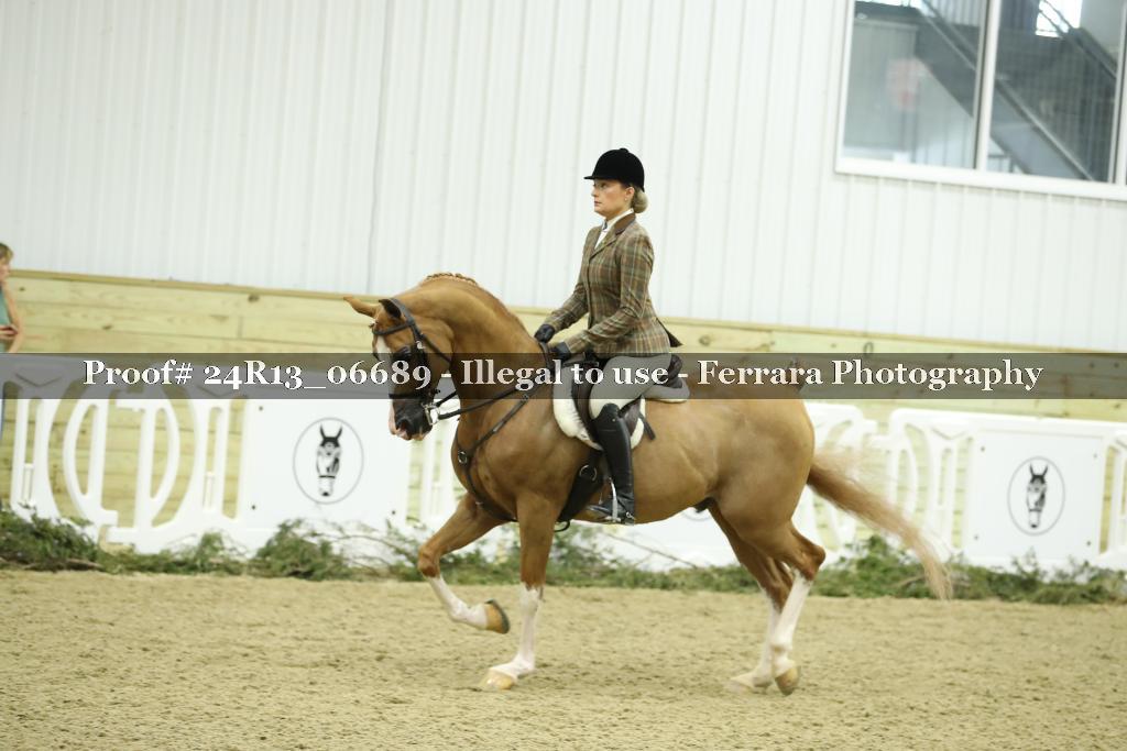 Proof 24R13_06689
