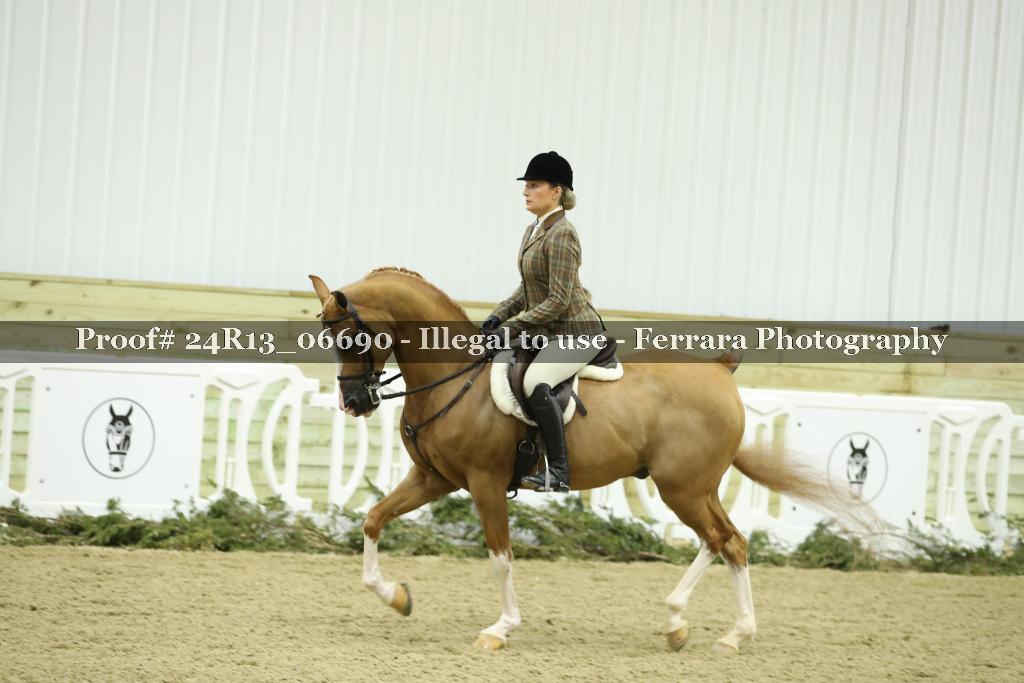 Proof 24R13_06690