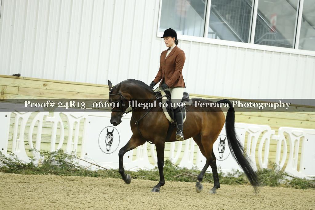 Proof 24R13_06691