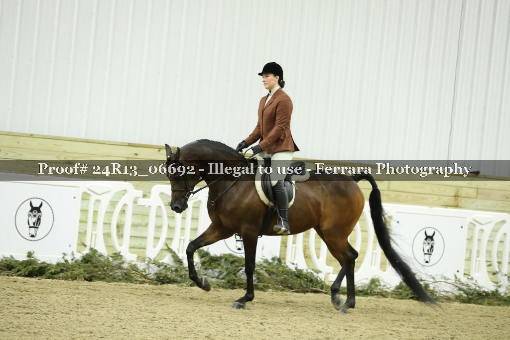 Proof 24R13_06692