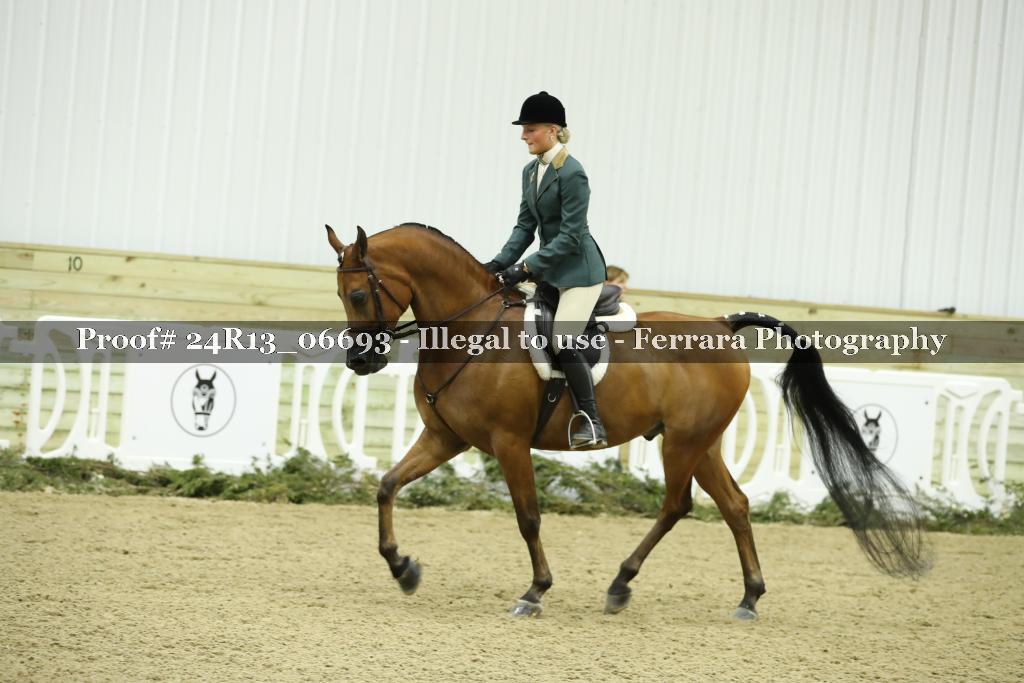 Proof 24R13_06693