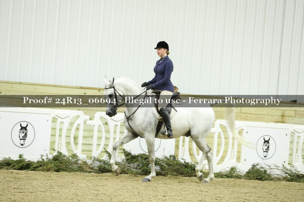 Proof 24R13_06694