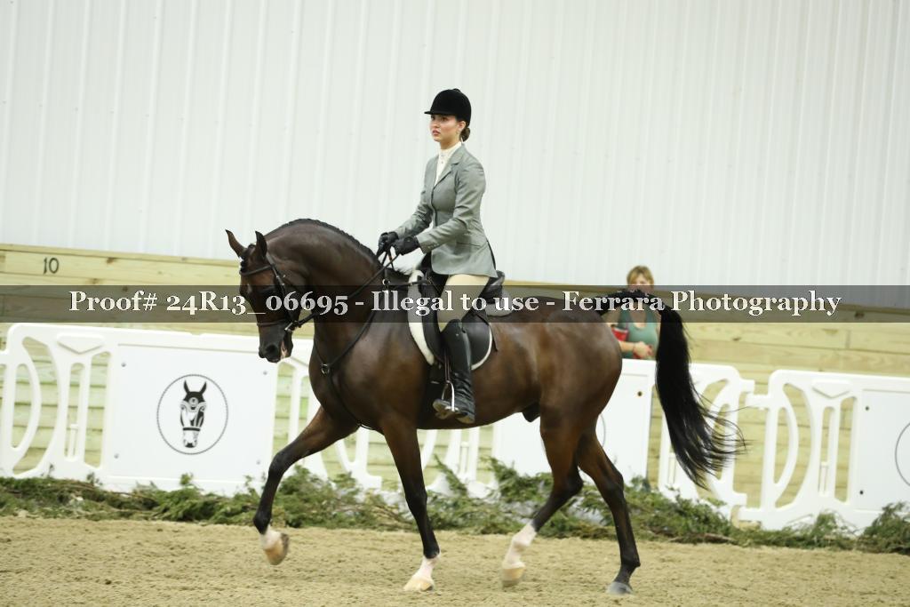 Proof 24R13_06695