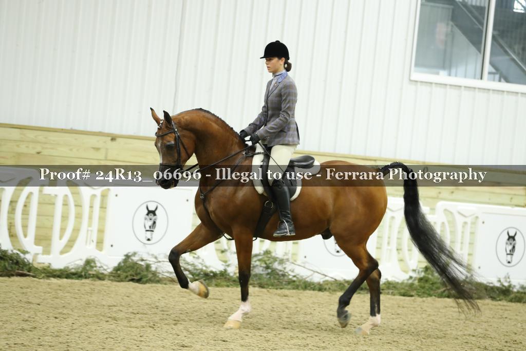 Proof 24R13_06696