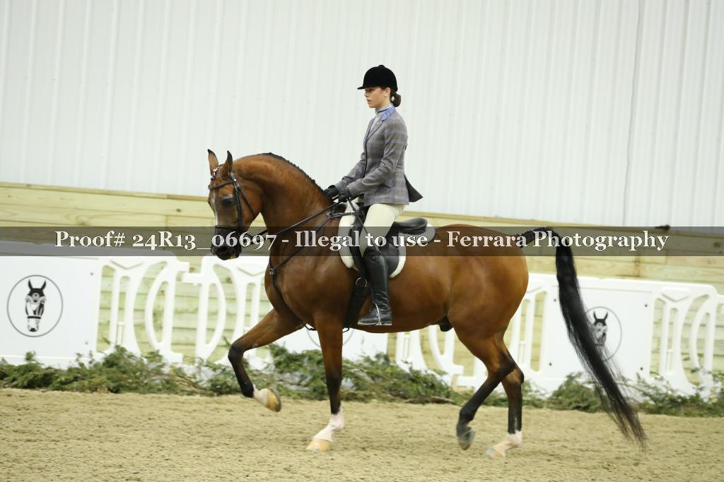 Proof 24R13_06697