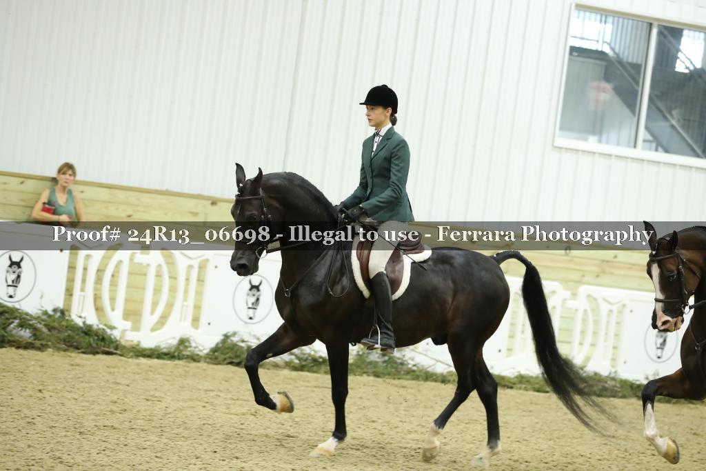 Proof 24R13_06698