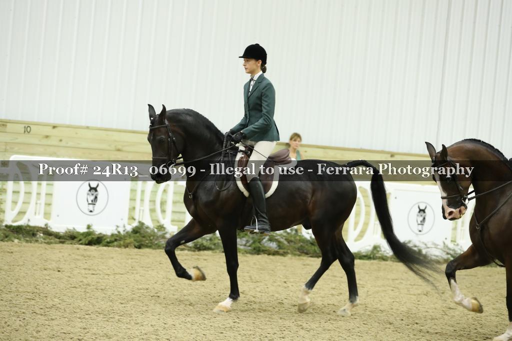 Proof 24R13_06699