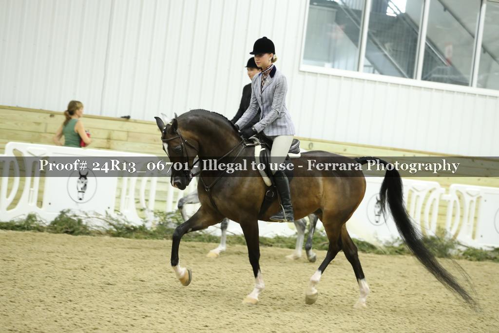 Proof 24R13_06701