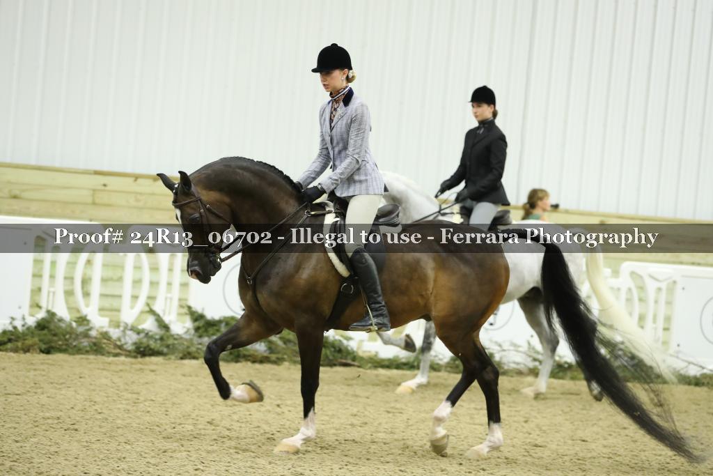 Proof 24R13_06702