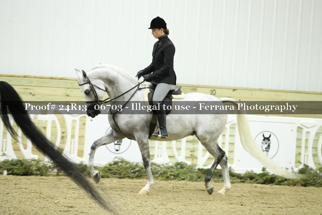 Proof 24R13_06703