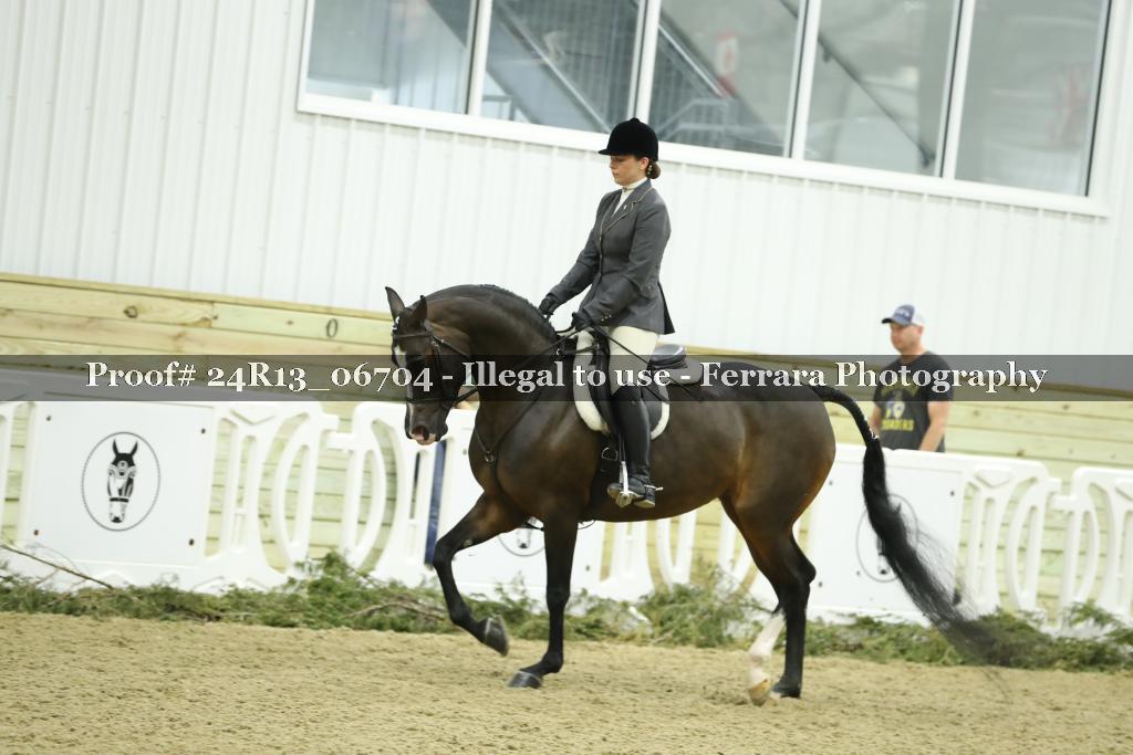 Proof 24R13_06704