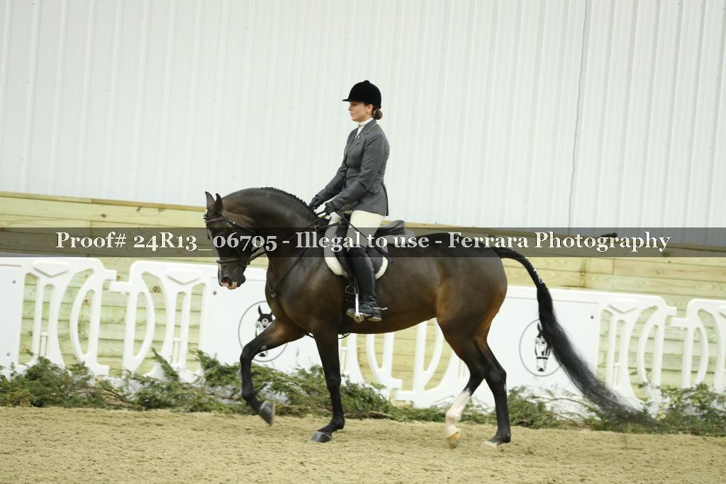 Proof 24R13_06705