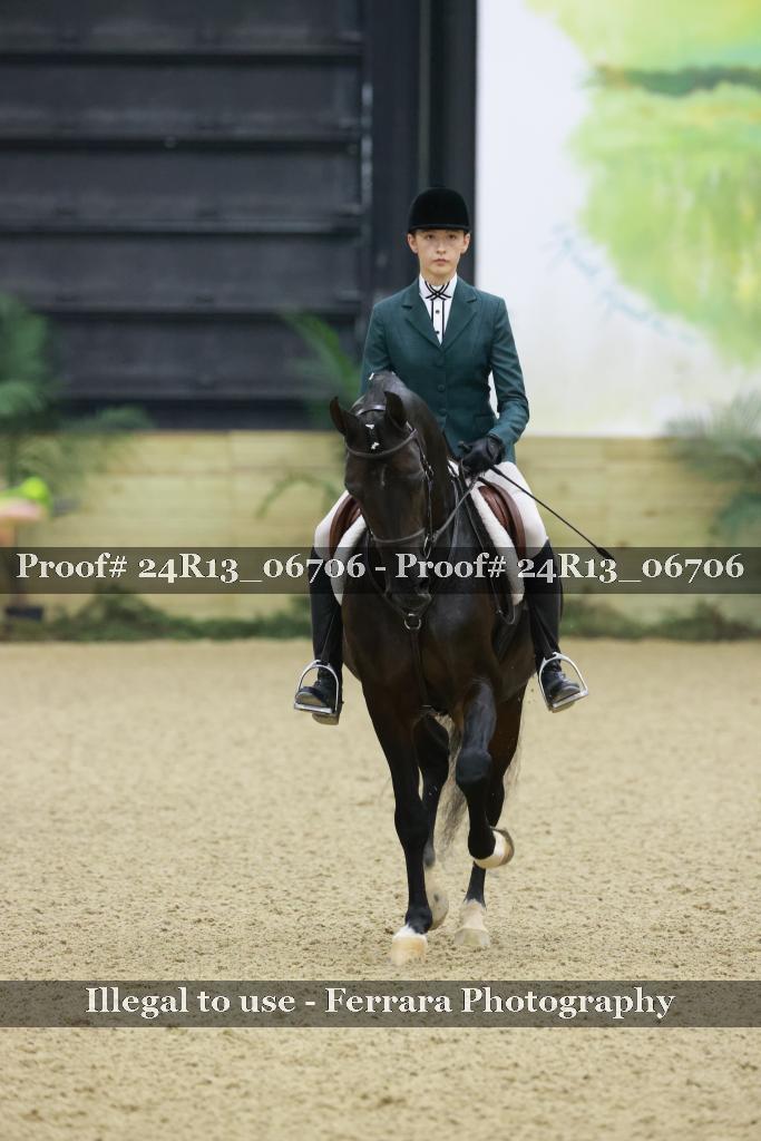 Proof 24R13_06706