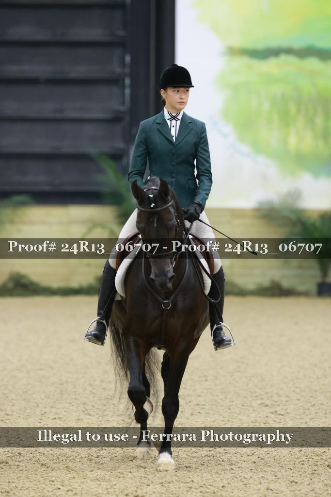 Proof 24R13_06707