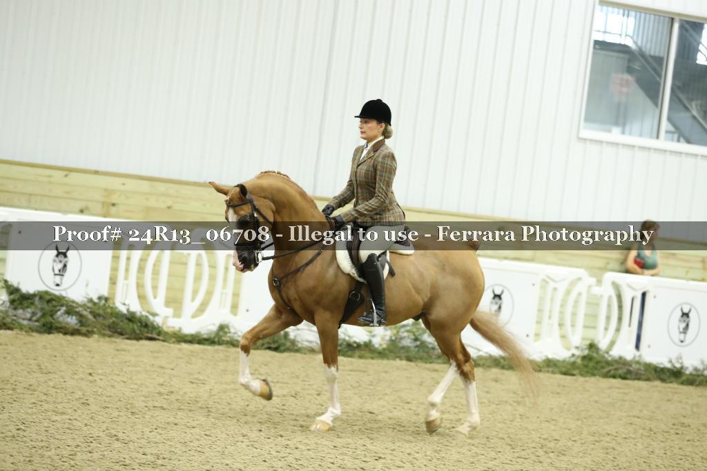 Proof 24R13_06708