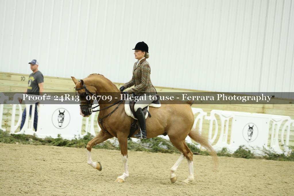 Proof 24R13_06709